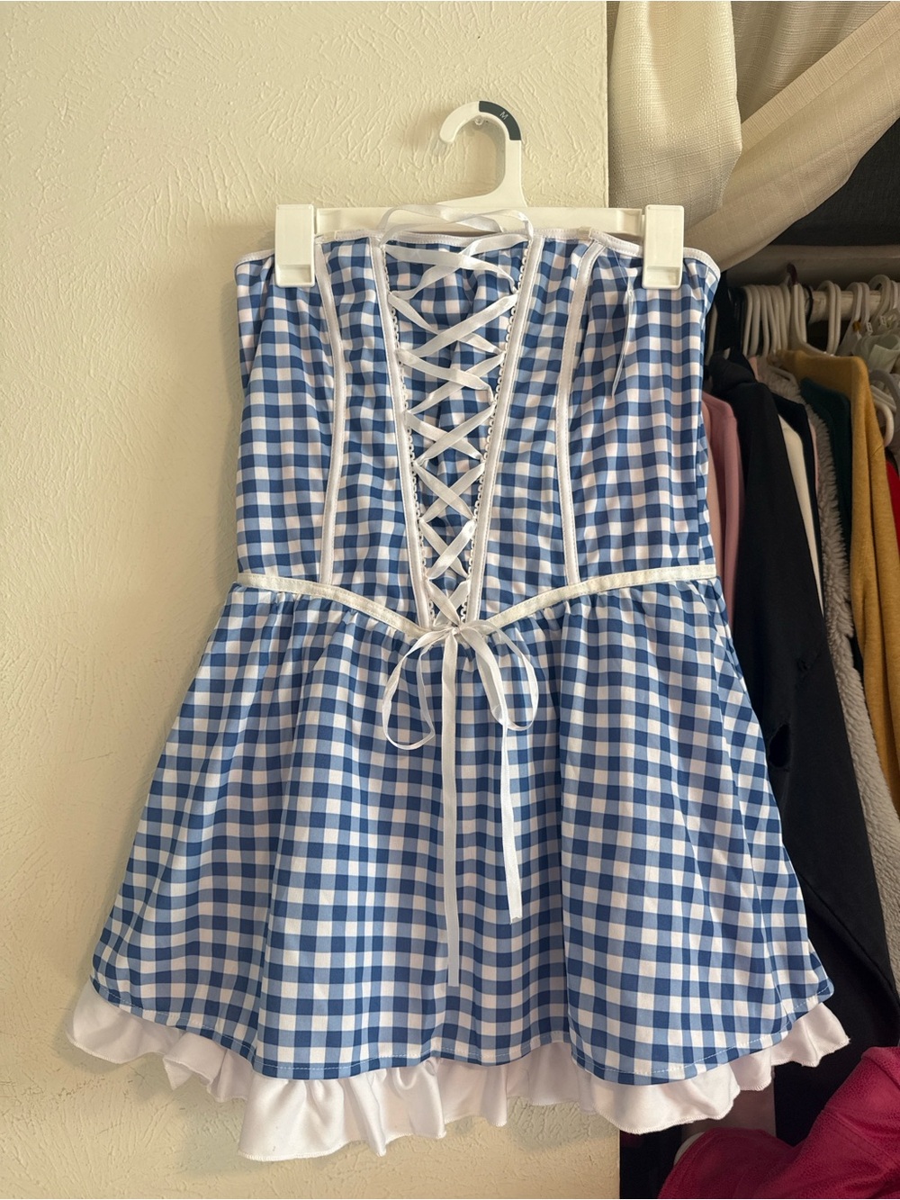 Blue and White Gingham Lace-Up Costume Dress